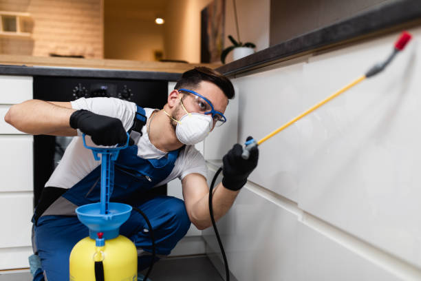 Best Rat Extermination Near Me  in Deming, NM