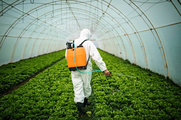 Best Pest Removal Services  in Deming, NM