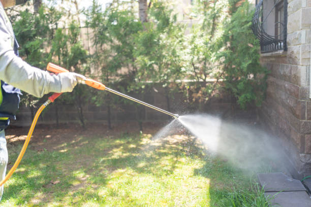 Best Local Pest Control Services  in Deming, NM
