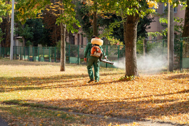 Best Residential Pest Control  in Deming, NM