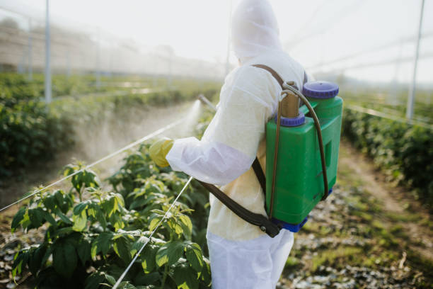 Best Pest Control Near Me  in Deming, NM